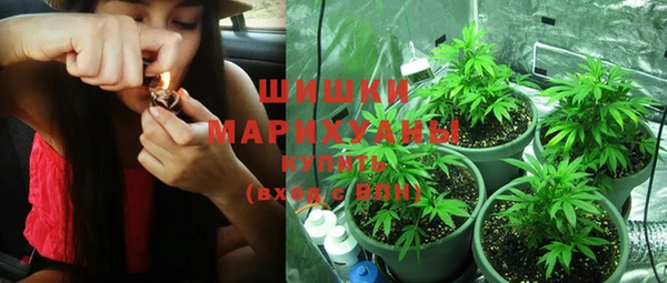 ПСИЛОЦИБИНОВЫЕ ГРИБЫ Алзамай
