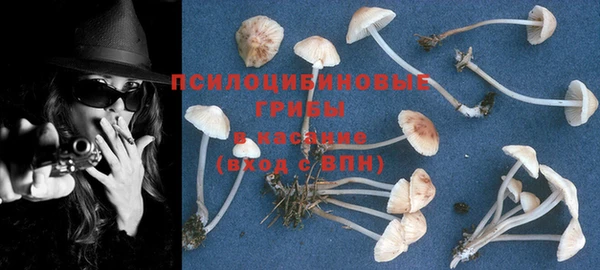 ПСИЛОЦИБИНОВЫЕ ГРИБЫ Алзамай