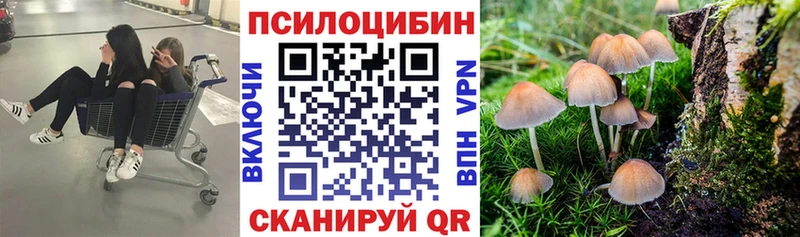 Псилоцибиновые грибы ЛСД Светлоград