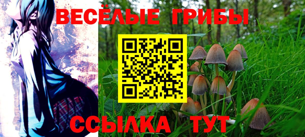 Псилоцибиновые грибы прущие грибы Светлоград