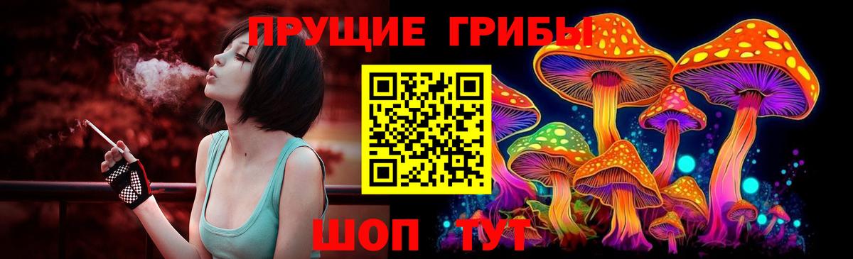 Галлюциногенные грибы ЛСД  Вход с VPN  даркнет сайт  Светлоград 