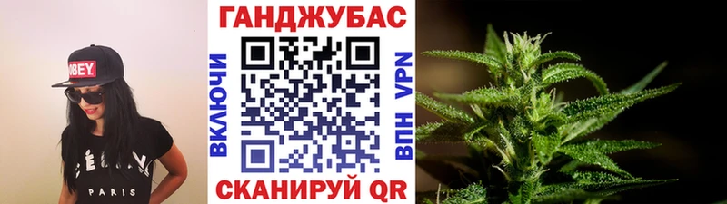 Канабис планчик  где купить наркоту  Светлоград 